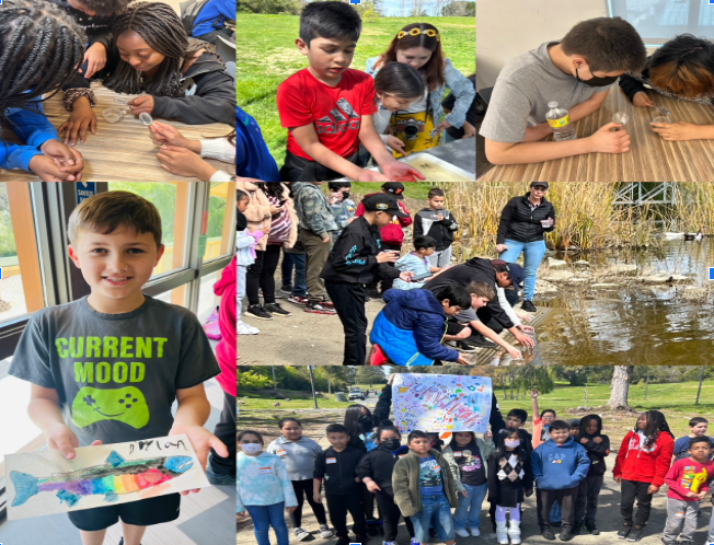 Collage of photos featuring students